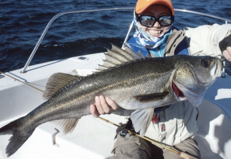 Kitagawa Japanese seabass (suzuki) 2.jpg Kitagawa Japanese seabass (suzuki) 2.jpg